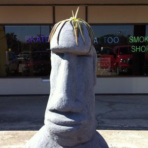 Meet your Posher, Don